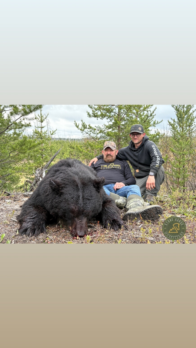 Alberta Black Bear Hunts