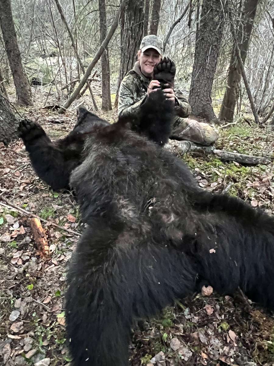 Trophy Black Bear 