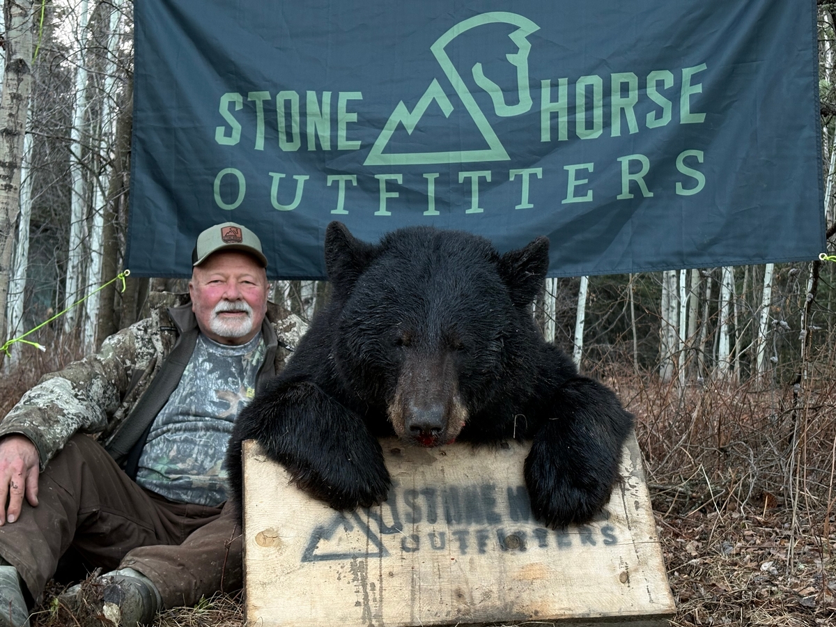 Black Bear Hunts (continued)