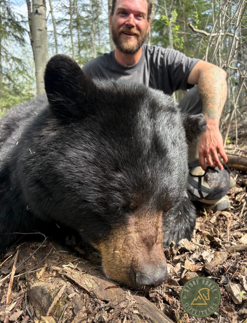 Trophy Alberta Black Bear Hunts